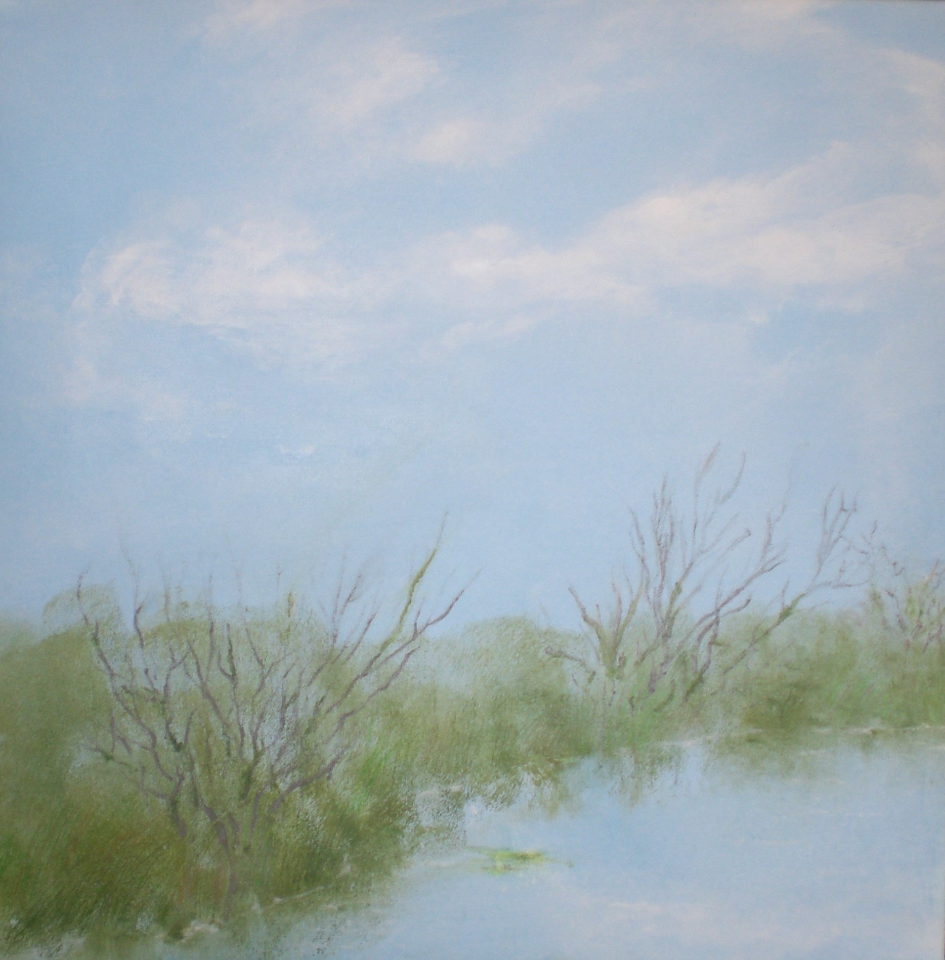 Silvia Venuti Sponda di lago, 2024, acrilico, 30×30