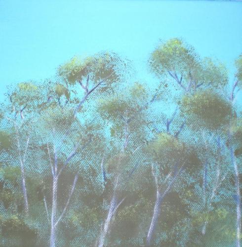 Bosco estivo, 2013 