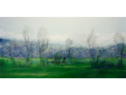 Paesaggio verde, 2000 