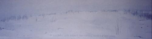 La neve, 2005