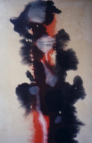 Metamorfosi, 1972