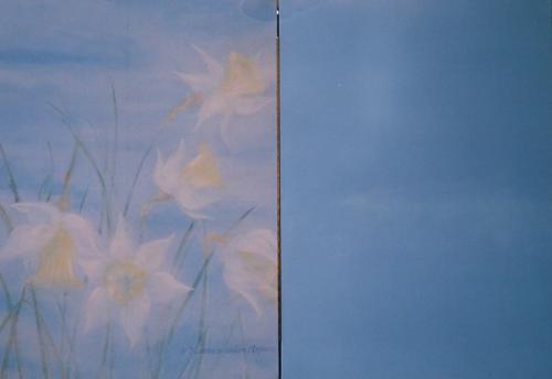 E' natura a svelare l'infinito (a libro), 2006 