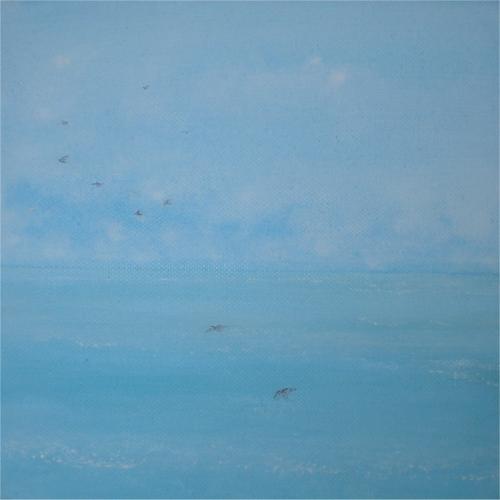 Voli sull'acqua, 2008 