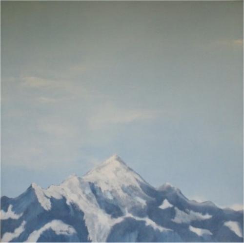 La vetta bianca, 2009 
