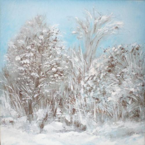 Neve in brughiera, 2010 