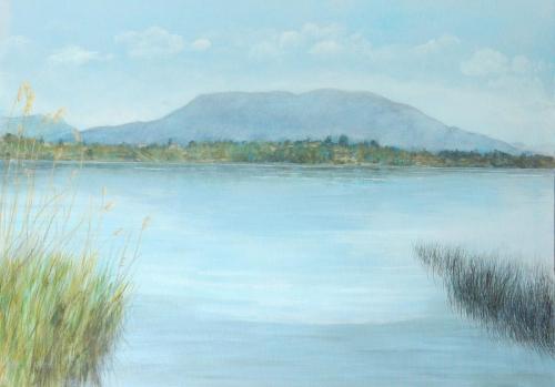 Ritratto di lago. Cadrezzate, 2017 