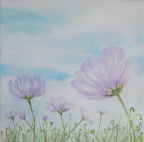 Fiori di campo, 2024