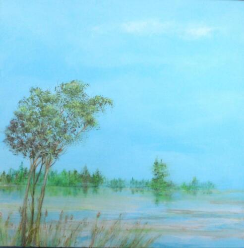 Luce d'acqua e cielo, 2024